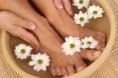 /album/fotogalerij-pedicure-/pedicure2-jpg/